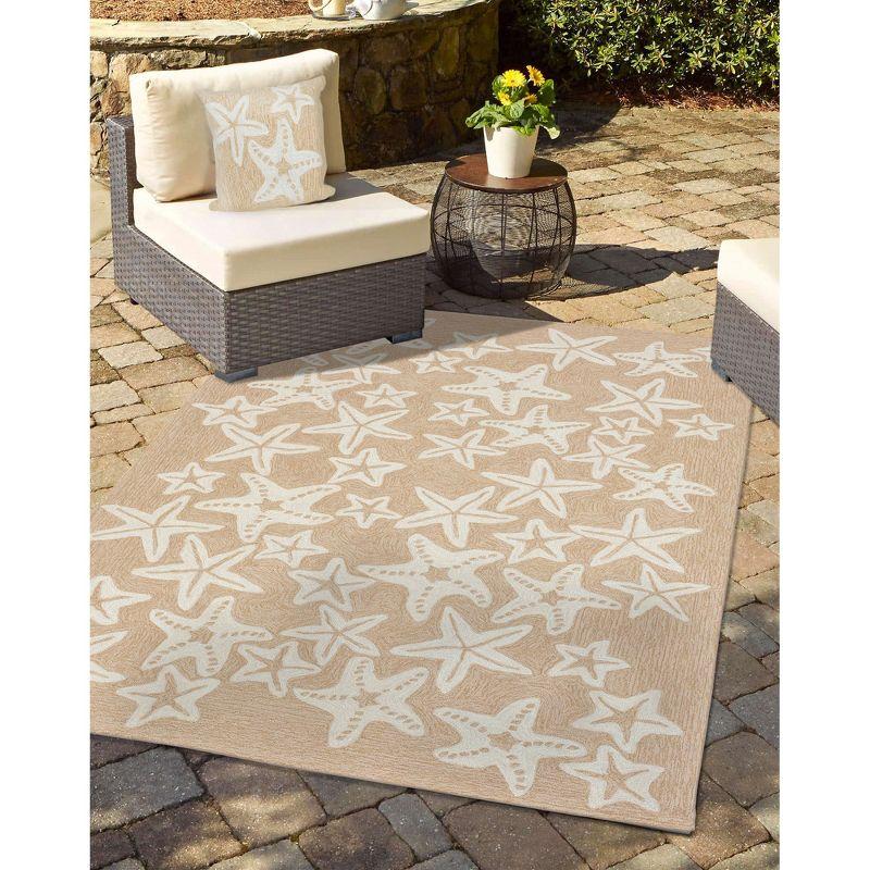 Liora Manne Indoor/Outdoor Throw Pillow