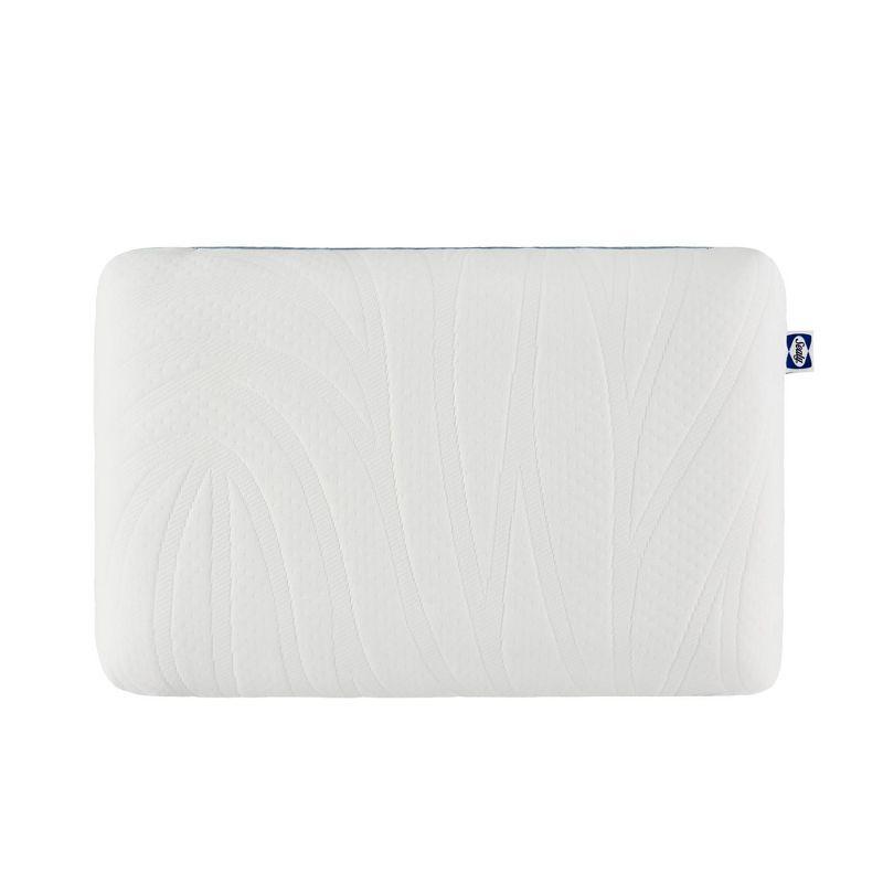 Sealy Dreamlife Memory Foam Pillow