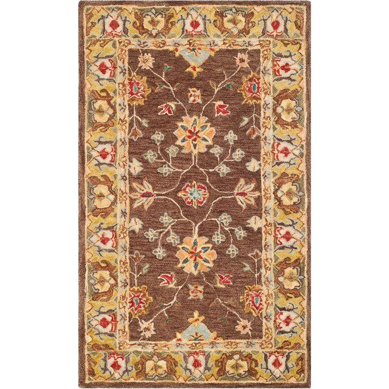 Anatolia AN562 Hand Tufted Area Rug  - Safavieh