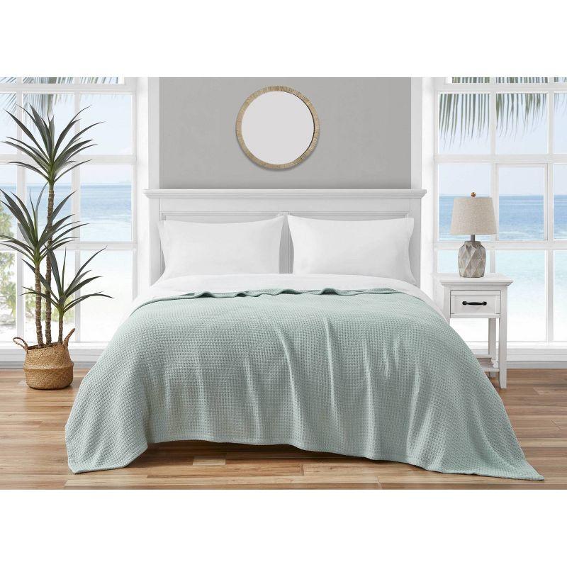 Coastal Knit King-Sized Cotton Blanket in Aqua