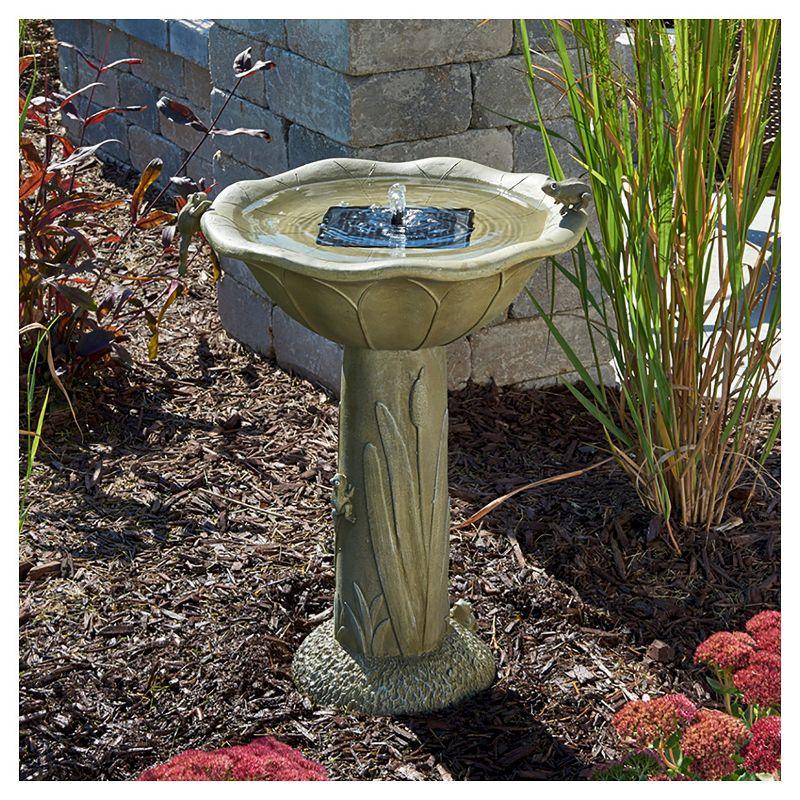 Olive Green Concrete Solar Birdbath with Frog Design