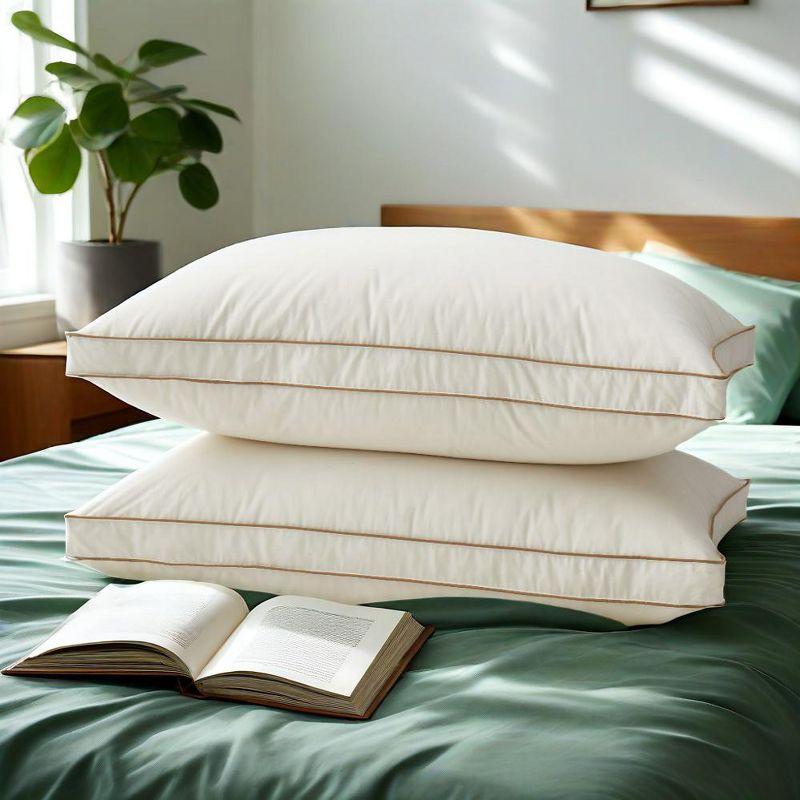 Peace Nest 2 Pack 100% Organic Cotton Gusseted Down Feather Bed Pillows, Pillow-in-a-pillow Design, Standard
