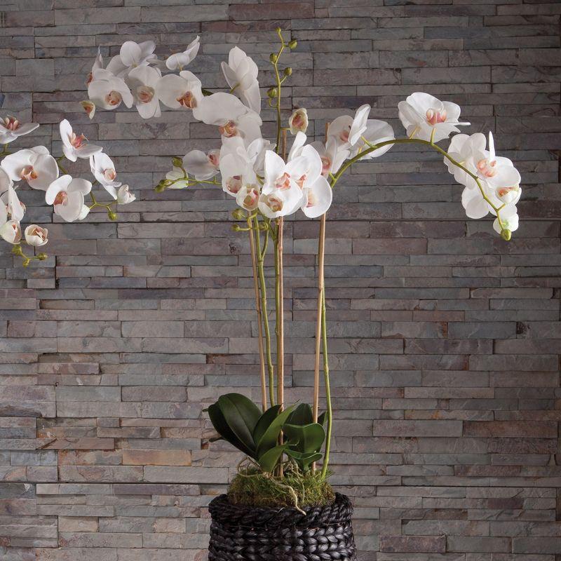 Plum & Post Phalaenopsis Orchid Faux (Fake) Drop-In 31"