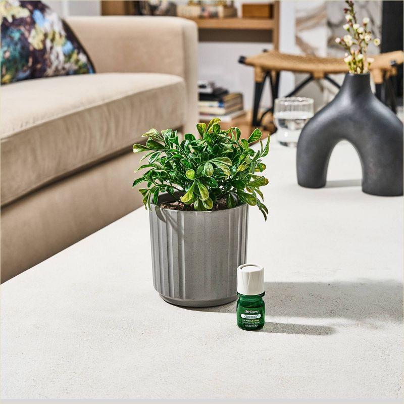 Lifelines Boxwood Plant - Ribbed Gray Planter Diffuser