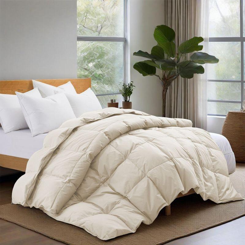 Puredown All Season Organic Cotton Down Comforter - 100% Natural, Chemical-Free, Medium Warmth Duvet Insert, Off-white, Full/Queen
