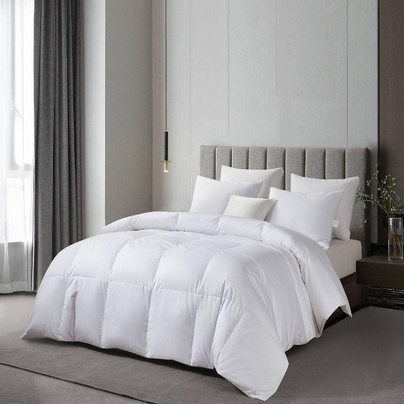 Light Warmth 300 Thread Count RDS Down Comforter - Martha Stewart