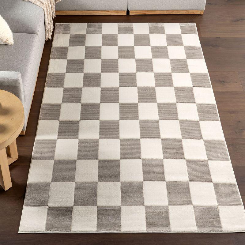 Zhuri Checkered Cream and Gray Machine Washable Area Rug 4' x 6'