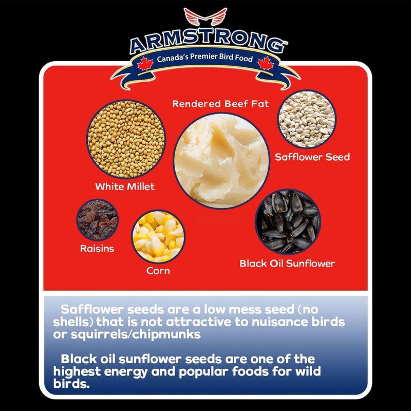 Armstrong Wild Bird Food Royal Jubilee Brilliance Suet Cake, 10.6oz (Pack of 3)