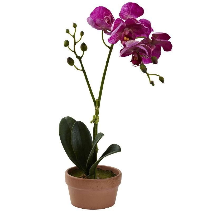 Nearly Natural Phalaenopsis Orchid with Clay Vase (Set of 4)