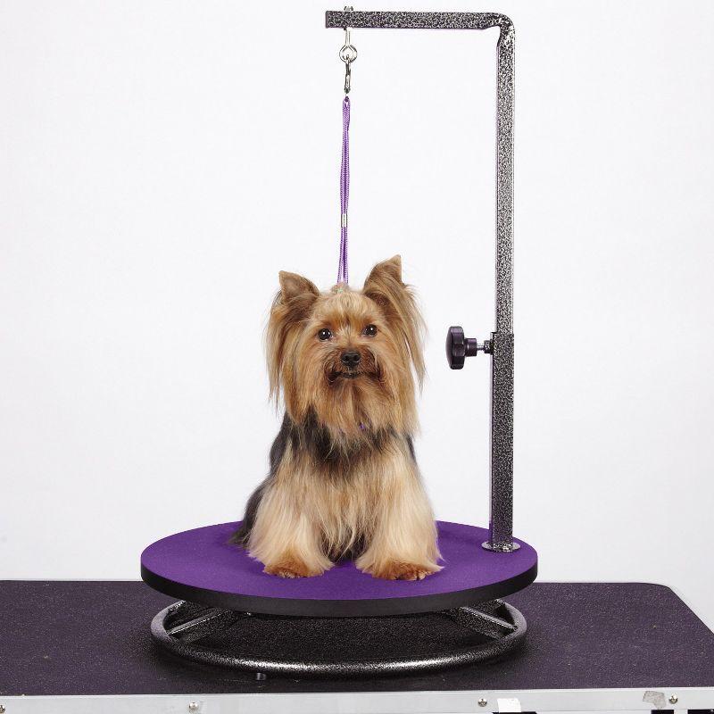 Master Equipment 4.8'' H x 18'' W x 18'' D Metal Dog Tabletop Grooming Table