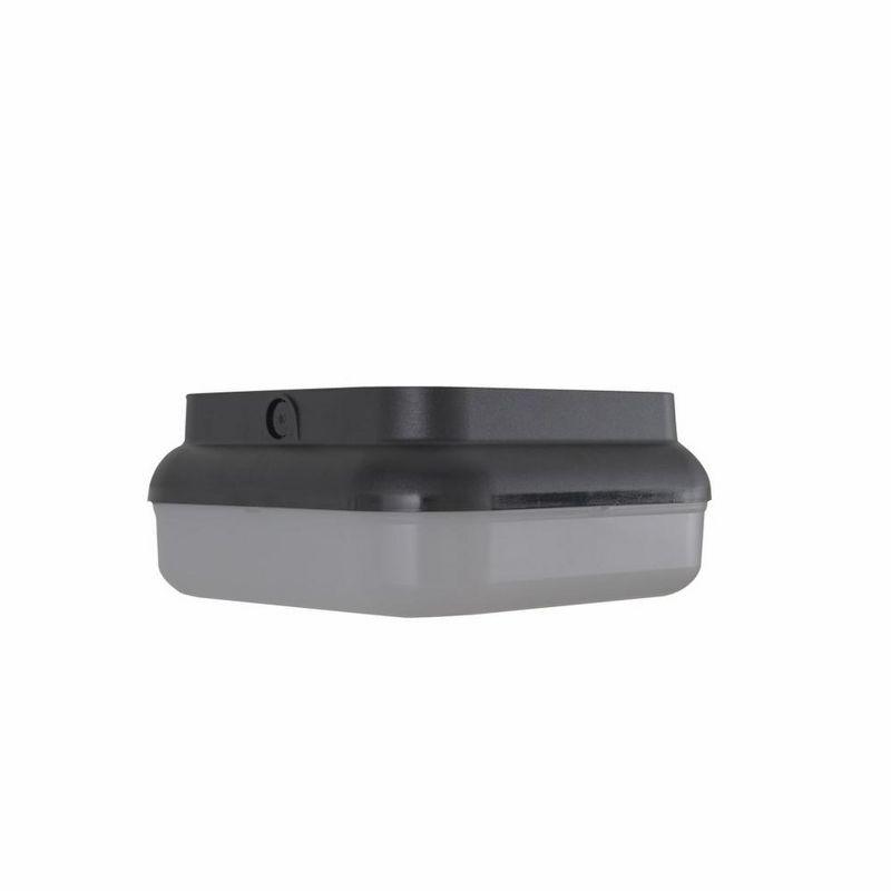 Textured Black Frosted Glass 2-Light Outdoor Flush Mount