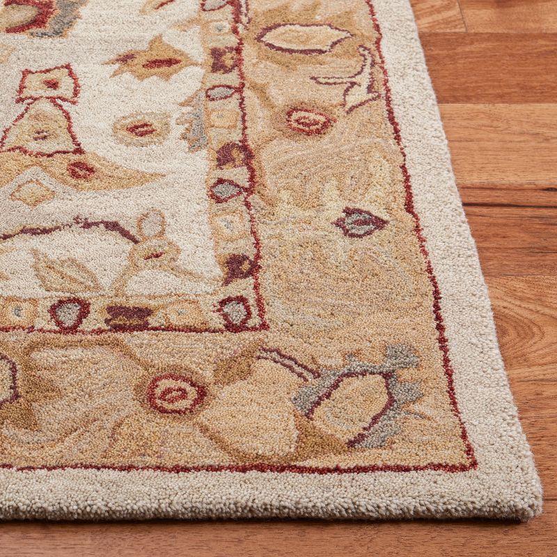 Anatolia AN543 Hand Tufted Area Rug  - Safavieh