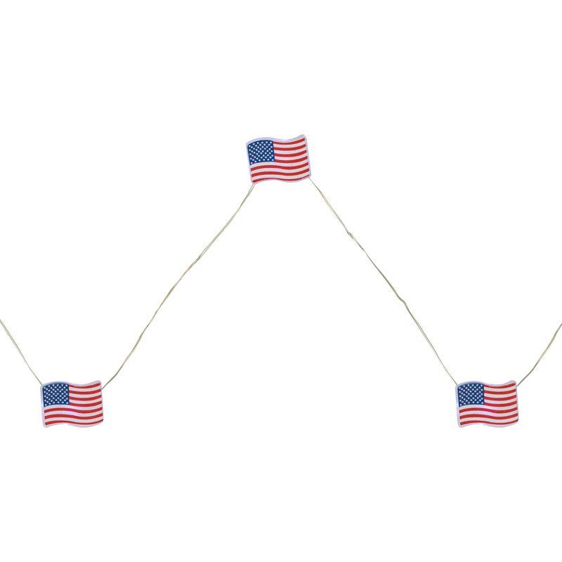 Northlight Seasonal 20-Count Patriotic Americana USA Flag LED Fairy Lights 6.25ft Copper Wire | Wayfair