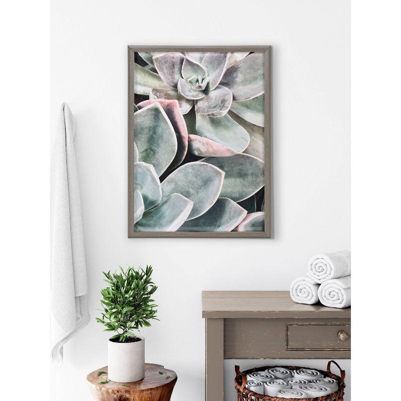 18" x 24" Blake Botanical Succulent Plants 1 by Creative Bunch Studio: Modern Wall Decor Art - Kate & Laurel All Things Decor