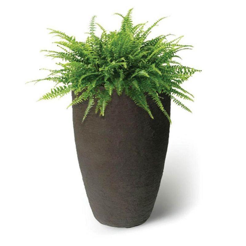 Algreen Products 87311 Athena 20.5 Inch Self Watering Level Indicator Indoor Outdoor Plastic Planter with Overflow Drain, Brownstone