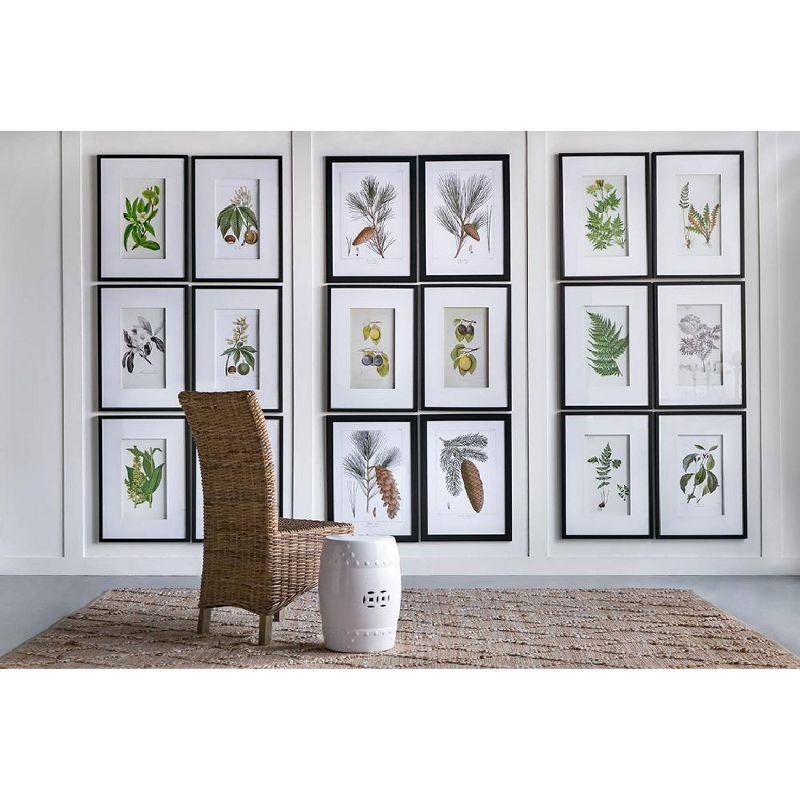 Set of 2 Smithsonian Fruit Framed Wall Arts - A&B Home: Transitional Decor, Vertical Orientation, Includes Mounting Hardware