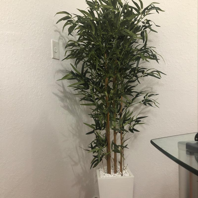 5.5ft Green Bamboo Artificial Tree in White Planter