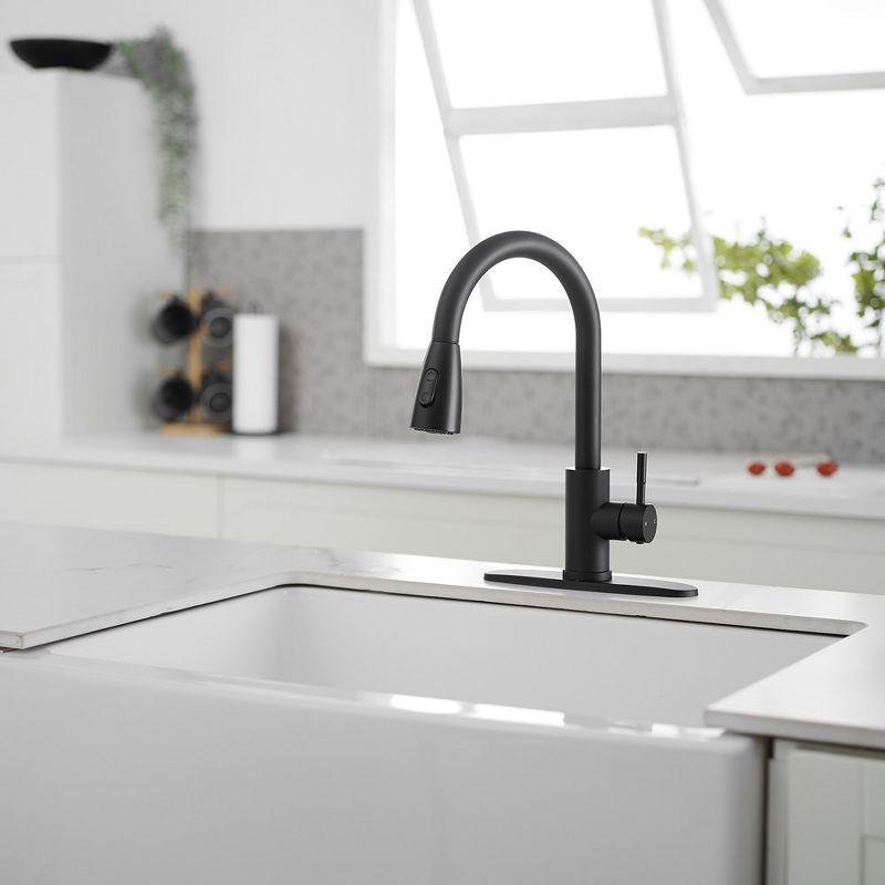 Matte Black Brass Single Handle Pull Down Kitchen Faucet