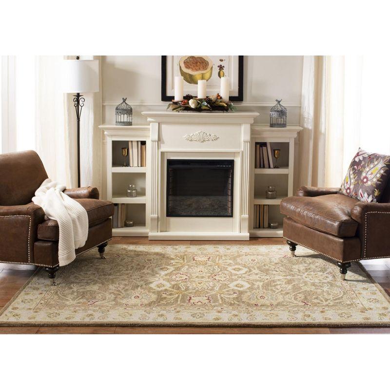 Anatolia AN522 Hand Tufted Indoor Area Rug - Tan/Ivory - 9'6"x13'6" - Safavieh