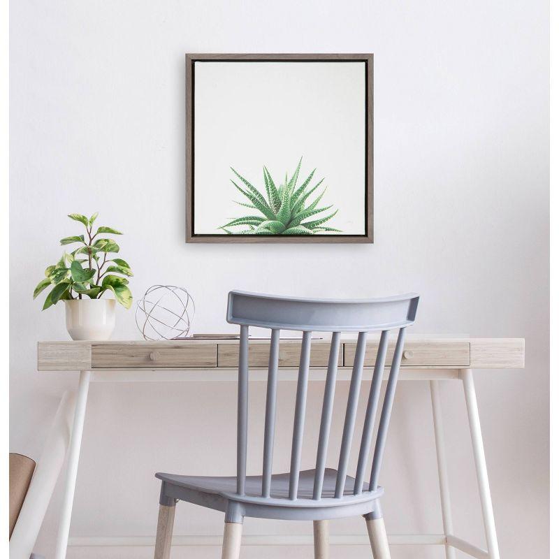 16"x16" Succulent Simplicity I Neutral Framed Canvas Wall Art - Amanti Art: Haworthia Fasciata Botanical Decor