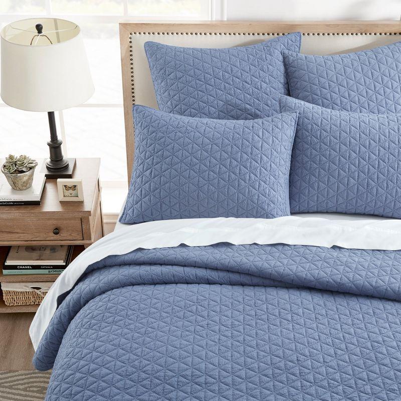 Rowan Blue Euro Sham 2pk - Levtex Home