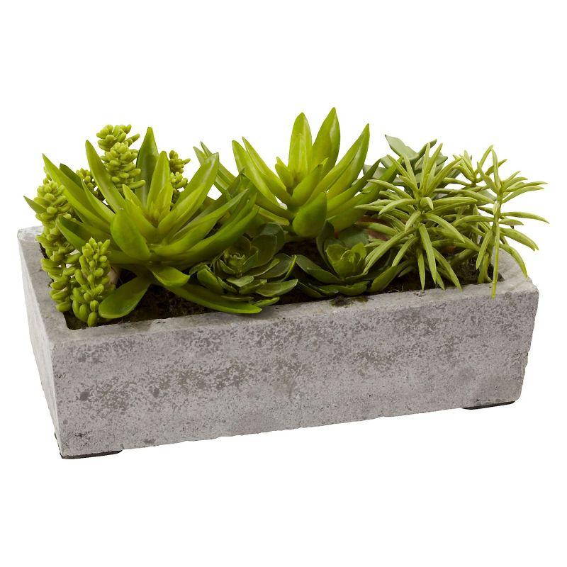 Nearly Natural Succulent Garden with Concrete Planter