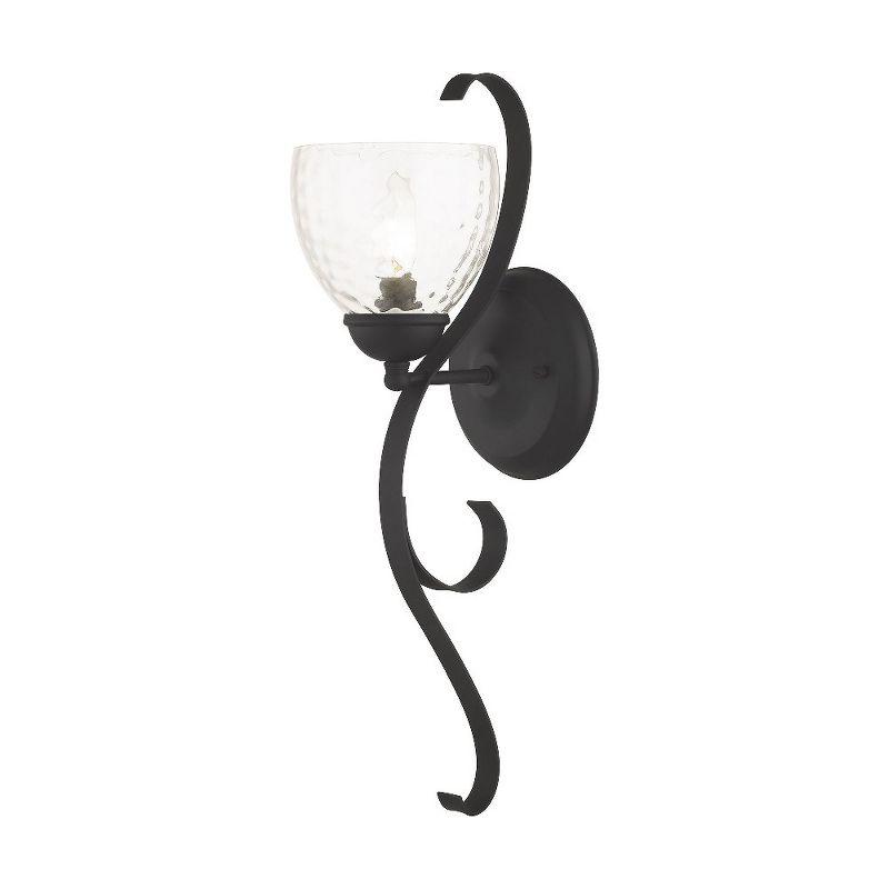 Brookside Hand-Blown Clear Water Glass Black Sconce