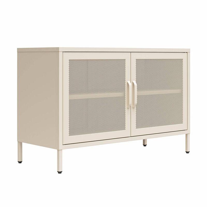 Channing 25.2" Tall Steel 2 - Door Accent Cabinet