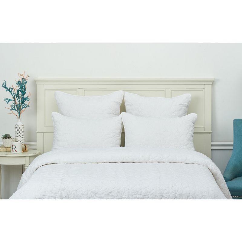 C&F Home Melody Bedding Collection Mara Cotton Standard Sham