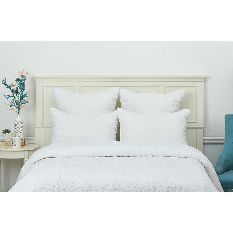 Melody Bedding Collection Cotton Pillow Sham