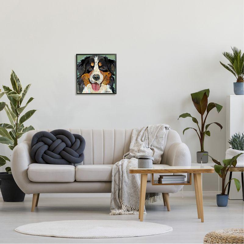 Stupell Industries Bernese Mountain Dog Portrait Framed Giclee Art