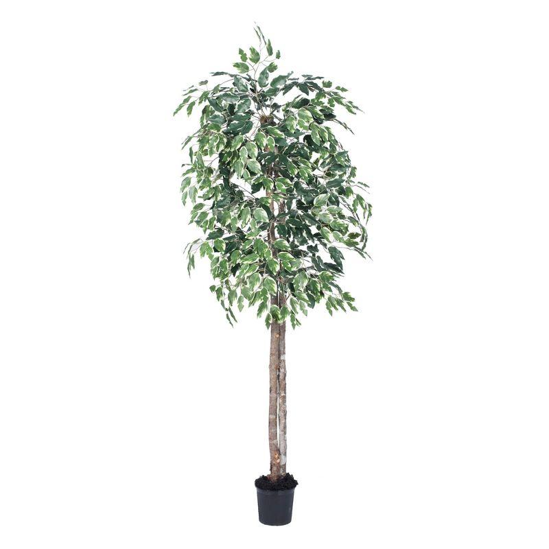 Lifelike Variegated Ficus Floor Plant in Black Pot - 79" Silk Foliage