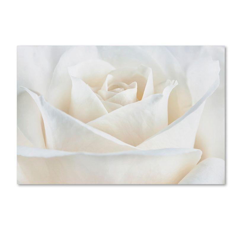 Trademark Fine Art -Cora Niele 'Pure White Rose' Canvas Art