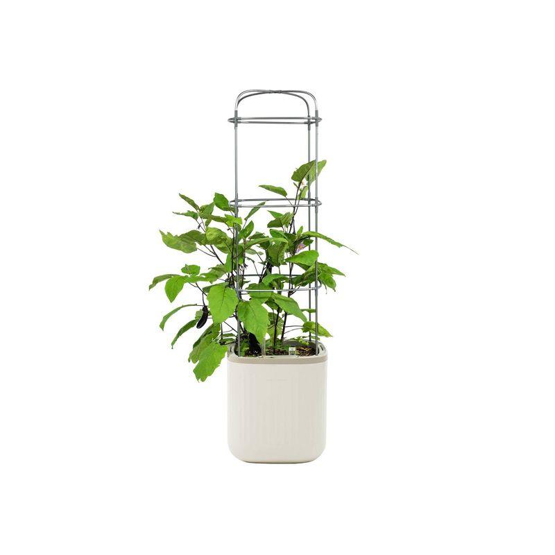 Vego Garden Self-Watering Rolling Tomato Rectangular Indoor Outdoor Planter Pot with Trellis 15"x15"x55"