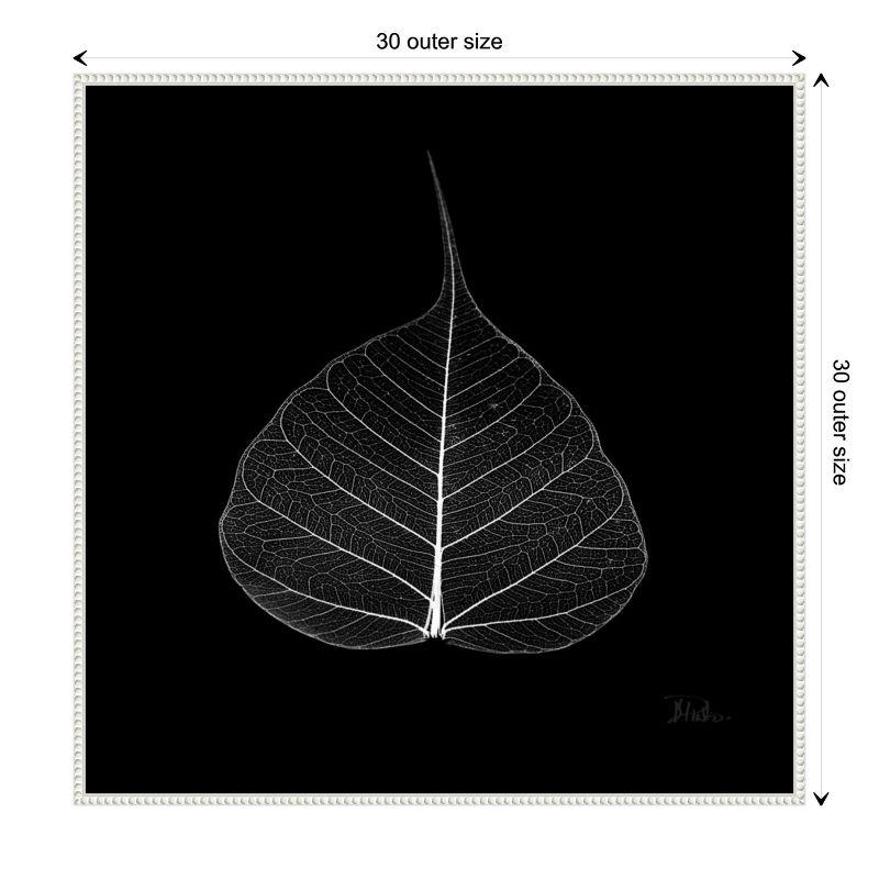 Amanti Art Minimalist Leaf on Black I by Patricia Pinto Canvas Wall Art Print Framed 30 x 30-in.