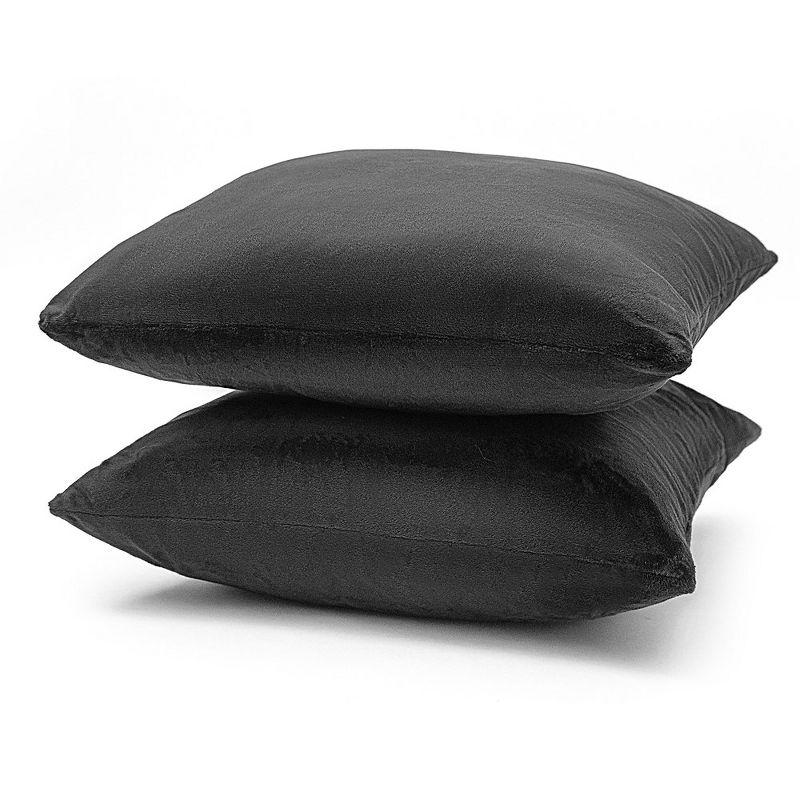 Beauty Acrylic Kody Throw Pillow (Set of 2)