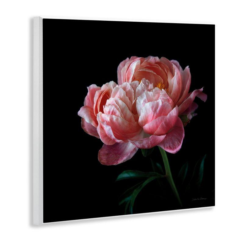 Bb-159-Wood " Dark Rose Photography " by Debra Van Swearingen