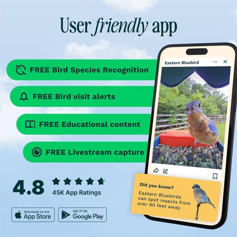 Bird Buddy Smart Bird Feeder with Camera and Solar Roof: Weather-Resistant, Hanging or Pole Mount