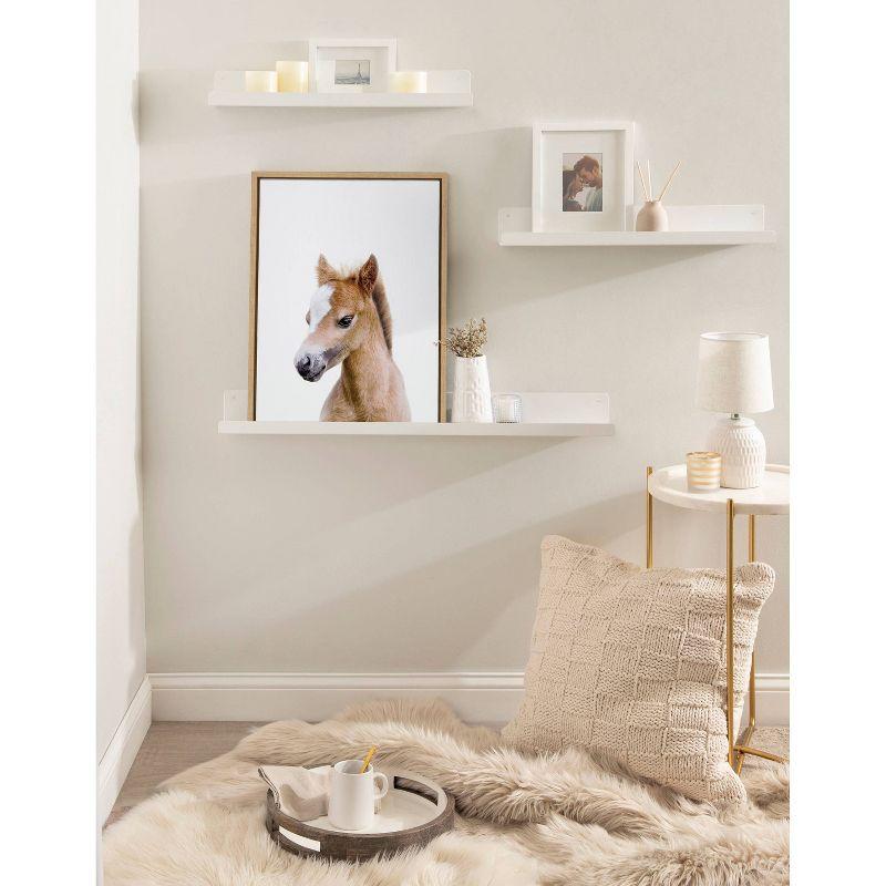 18" x 24" Sylvie Animal Studio Baby Horse Framed Canvas by Amy Peterson - Kate & Laurel All Things Decor