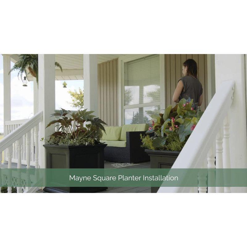Winston Porter Anastassia Planter Box