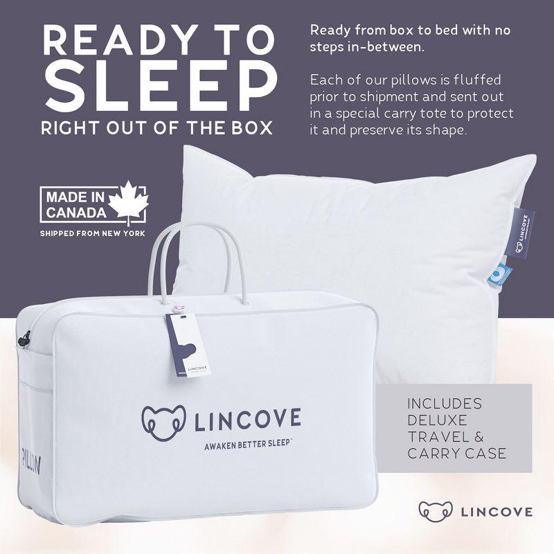 Lincove Signature 100% Canadian Down Luxury Sleeping Pillow - 800 Fill Power, 500 Thread Count Cotton Shell, 2 Pack