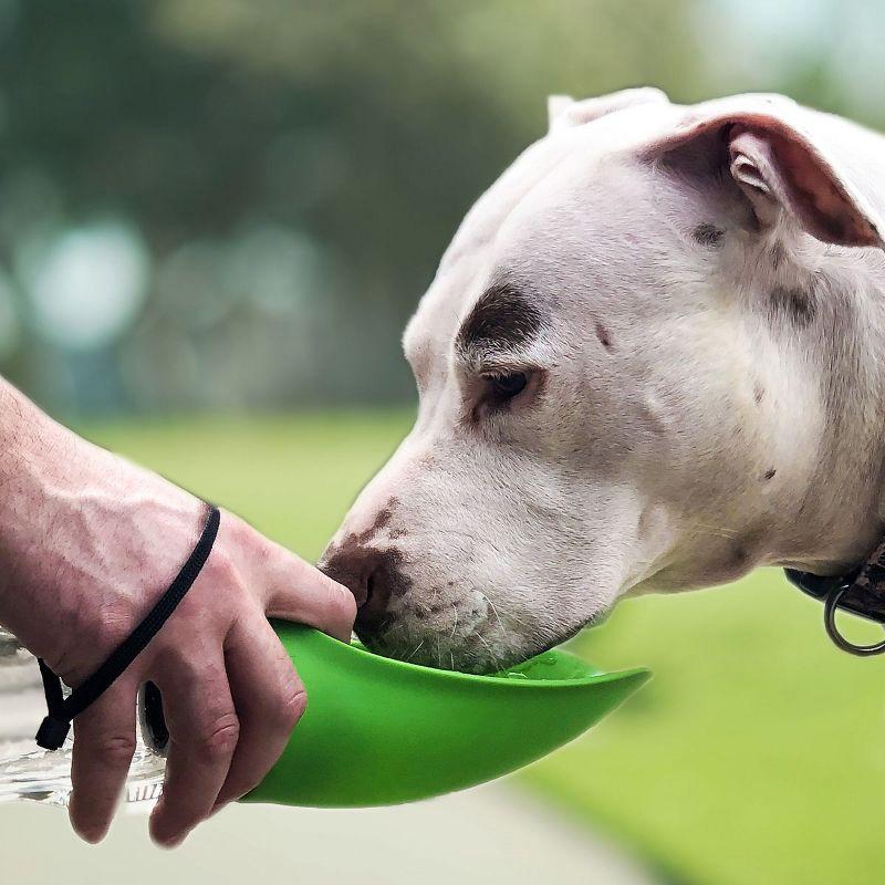 Flipo Fold A Bowl Silicone Portable Dual Pet Water Bottle and Bowl For Hydration On The Go