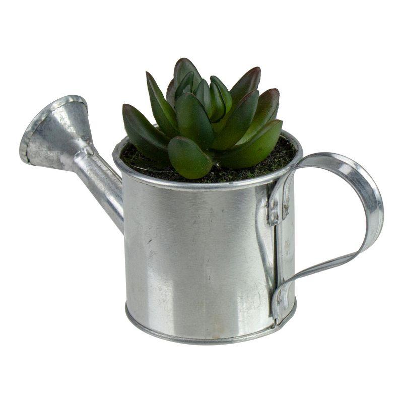 Northlight 4" X Pachyveria Succulent in Water Can Artificial Potted Plant - Green/Silver