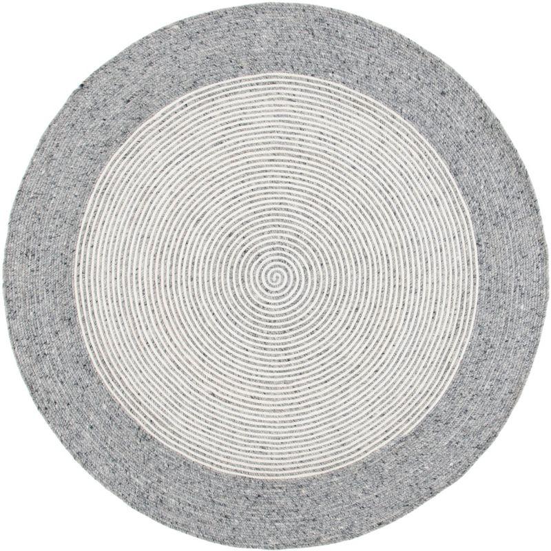 Braided BRD904 Hand Woven Area Rug  - Safavieh