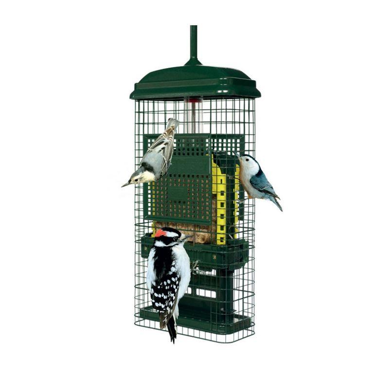 Brome Bird Care Squirrel Buster Truly Squirrel-Proof Suet Feeder (Green, 2-Pack)