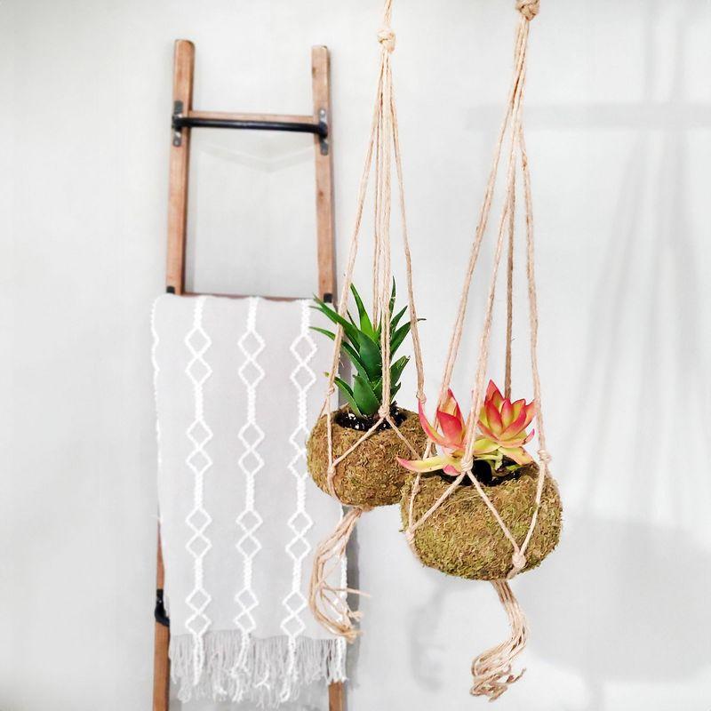 Esterno Kokedama Hanging Planter Kits, 3pk; Japanese Moss Ball Plant Holder