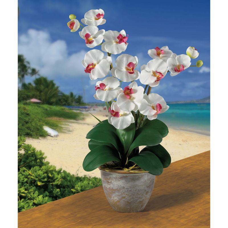 Nearly Natural Double Phalaenopsis Silk Orchid Flower Arrangement, White