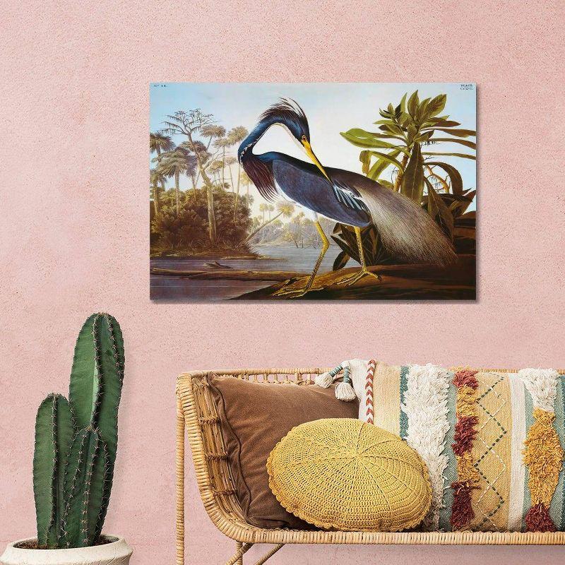 Louisiana Heron From "Birds of America" by John James Audubon Unframed Wall Canvas - iCanvas