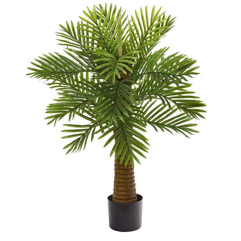 Lush Tropical Oasis 3' Robellini Palm with Textured Trunk