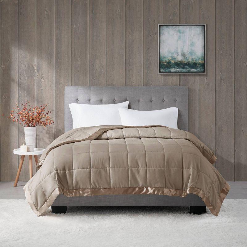 Madison Park Lightweight Down Alternative Blanket with Satin Trim